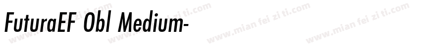 FuturaEF Obl Medium字体转换